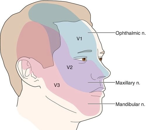 Facial pain associated with autonomic features