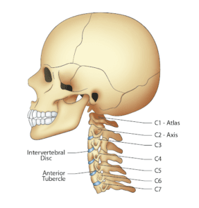 Neckpain blog img 2